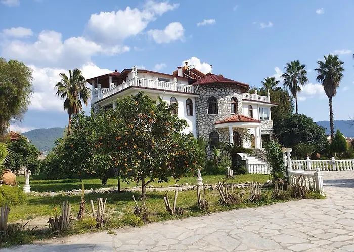 Romantik دالامان