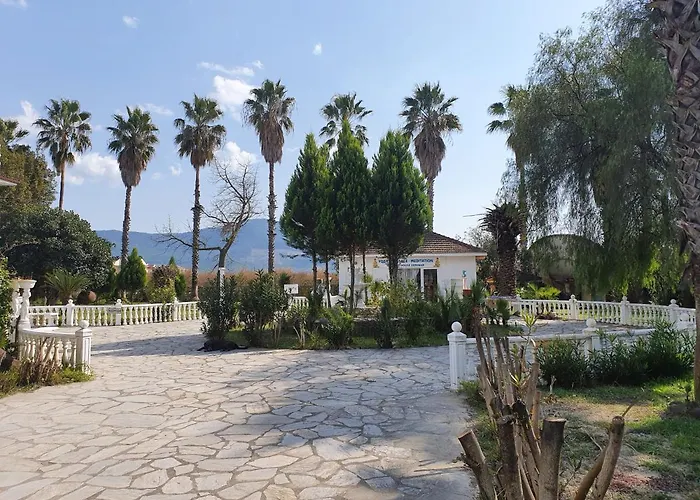 Romantik دالامان