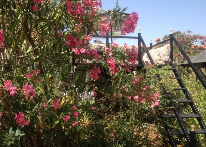 بيت ضيافة Romantik