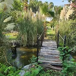 Romantik Guest house