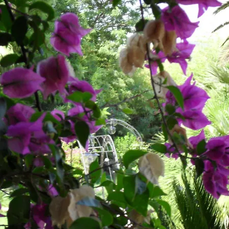 Romantik Dalla Konukevi 4*