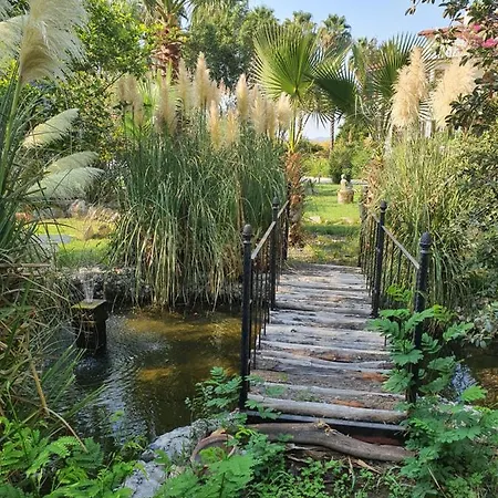 Romantik Dalla Konukevi