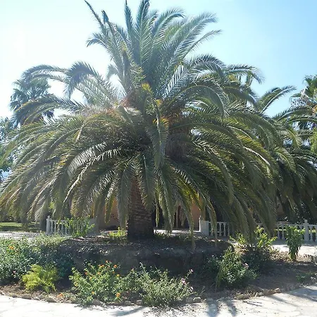 Romantik Dalla 4* Dalaman