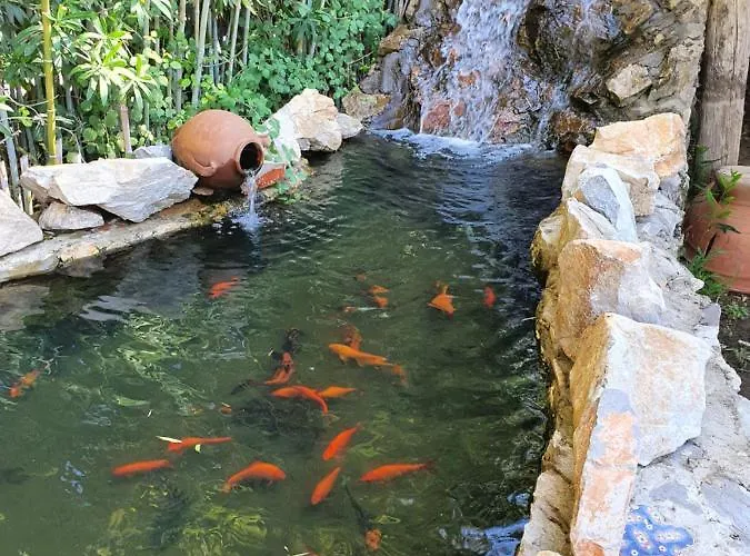 Romantik Πανσιόν Dalaman