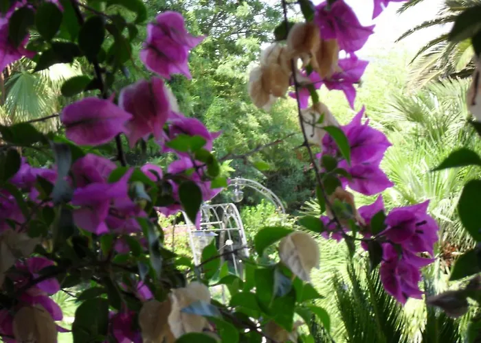 Romantik בית הארחה 4*